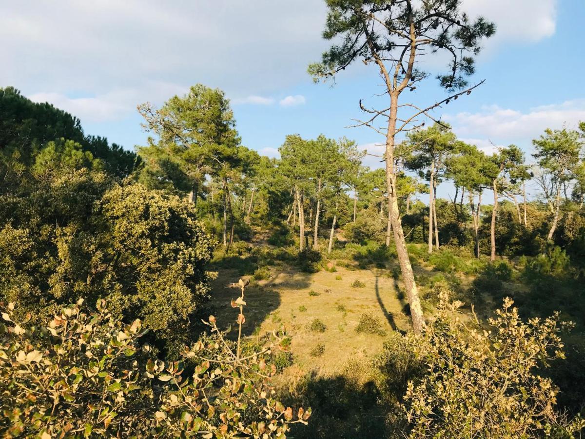 Maison De La Plage, Charme Et Soleil Saint-Jean-de-Monts Buitenkant foto